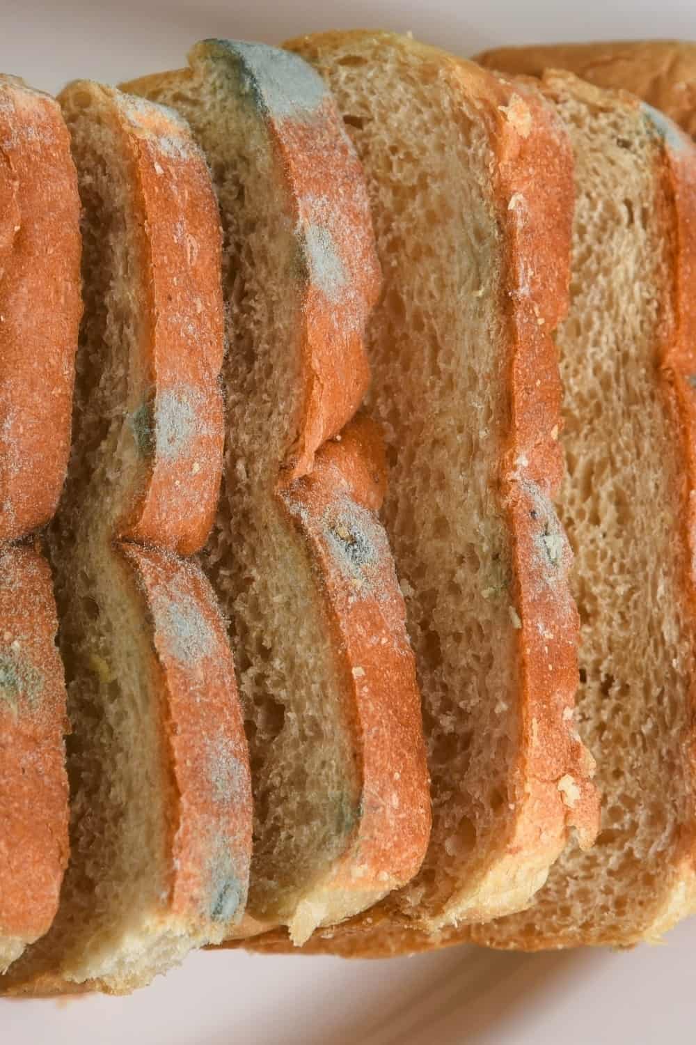 molding sliced bread