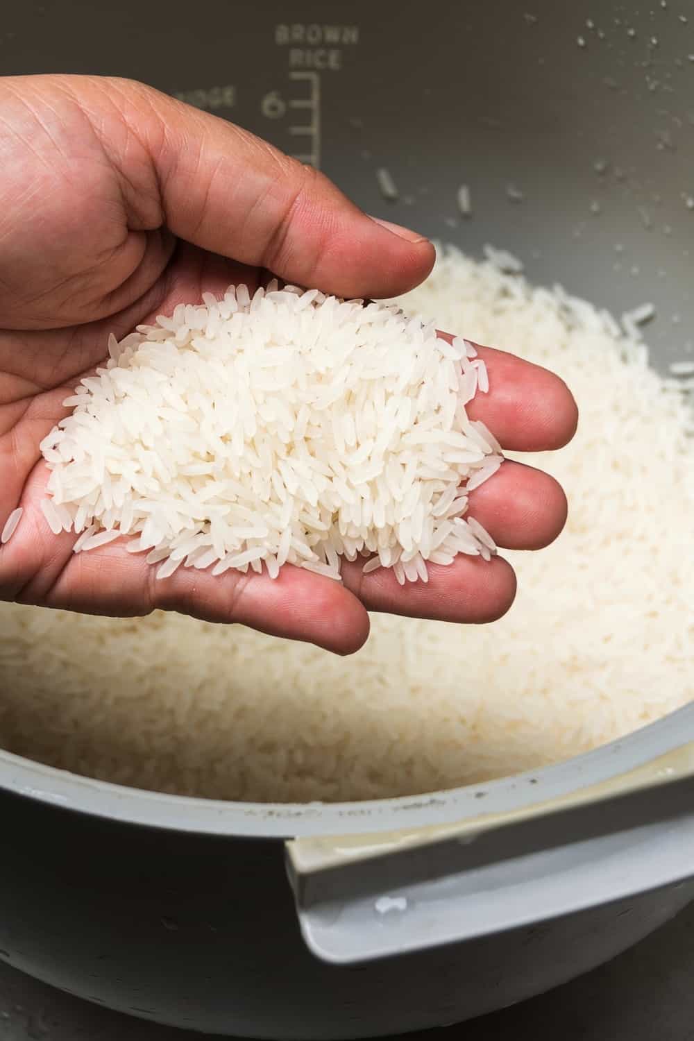 arroz en la mano
