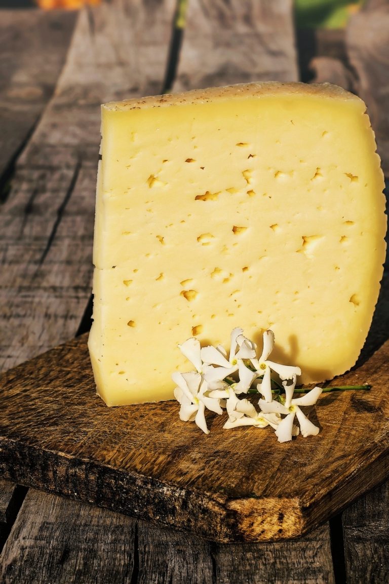 10 Finest Pecorino Cheese Substitutes That Won't Disappoint