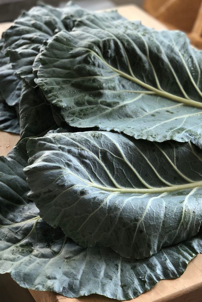 Turnip Greens Vs Collard Greens 4 Differences To Set Apart