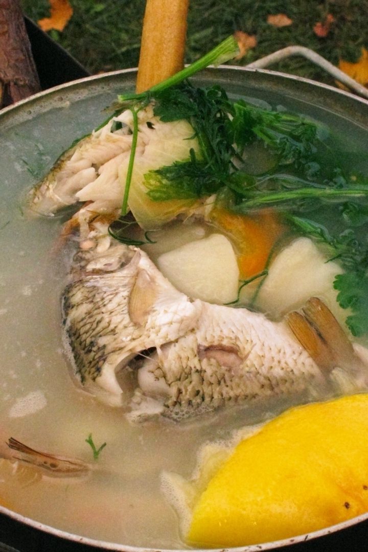 13 Fantastic Options To Substitute Fish Stock Perfectly