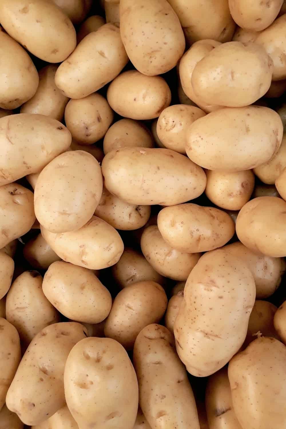Kennebeck potatoes