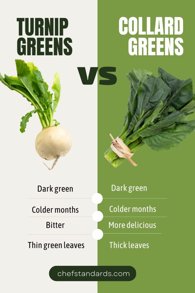 Turnip Greens Vs Collard Greens 4 Differences To Set Apart