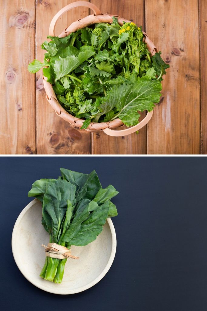 Turnip Greens Vs Collard Greens 4 Differences To Set Apart