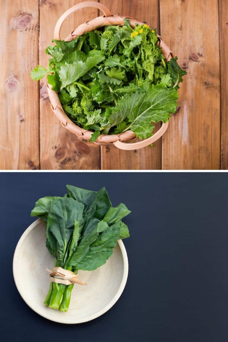4 Main Differences Between Turnip Greens And Collard Greens