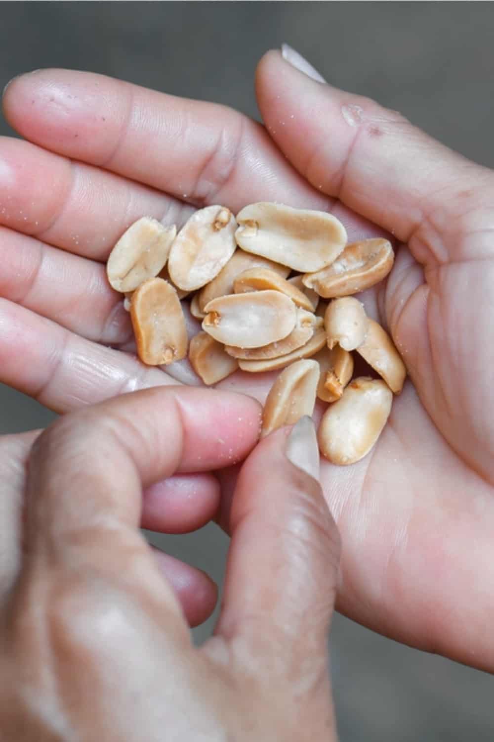 a woman eats peanuts from her hand