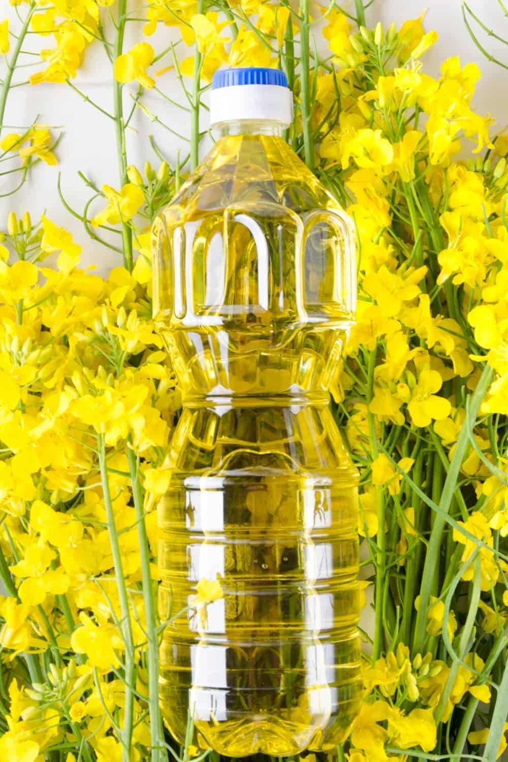 canola oil in a bottle placed on top of flowers
