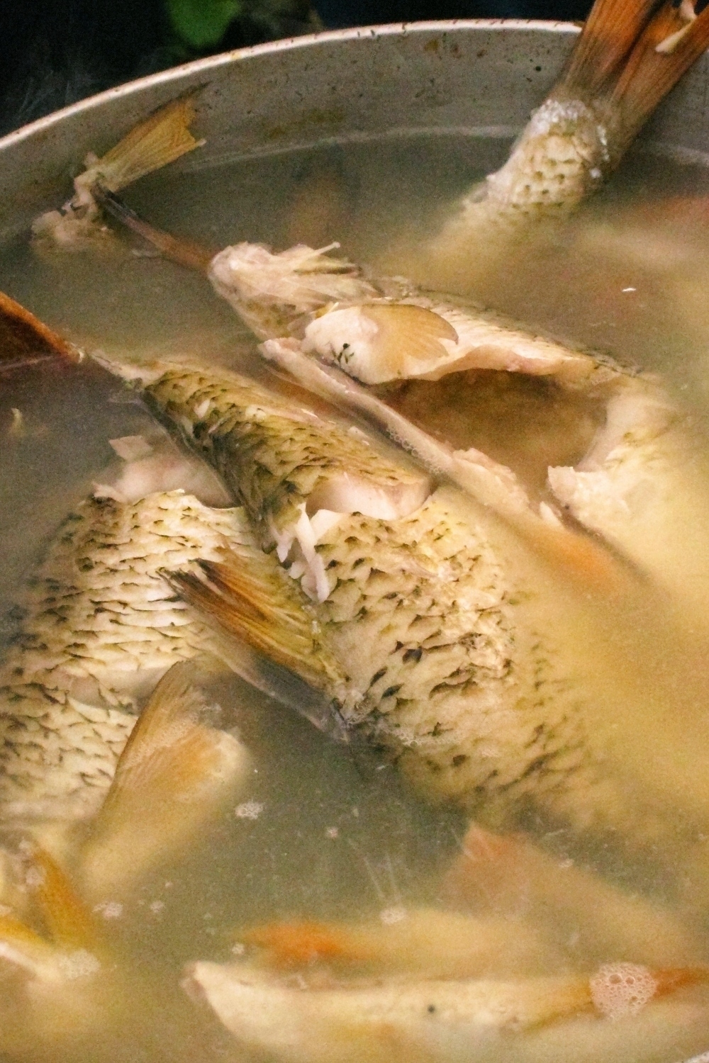 bouillon de poisson frais