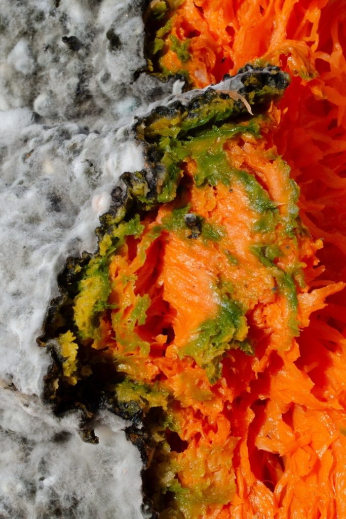 How To Tell If Squash Is Bad? 8 Spoilage Signs Of Squash