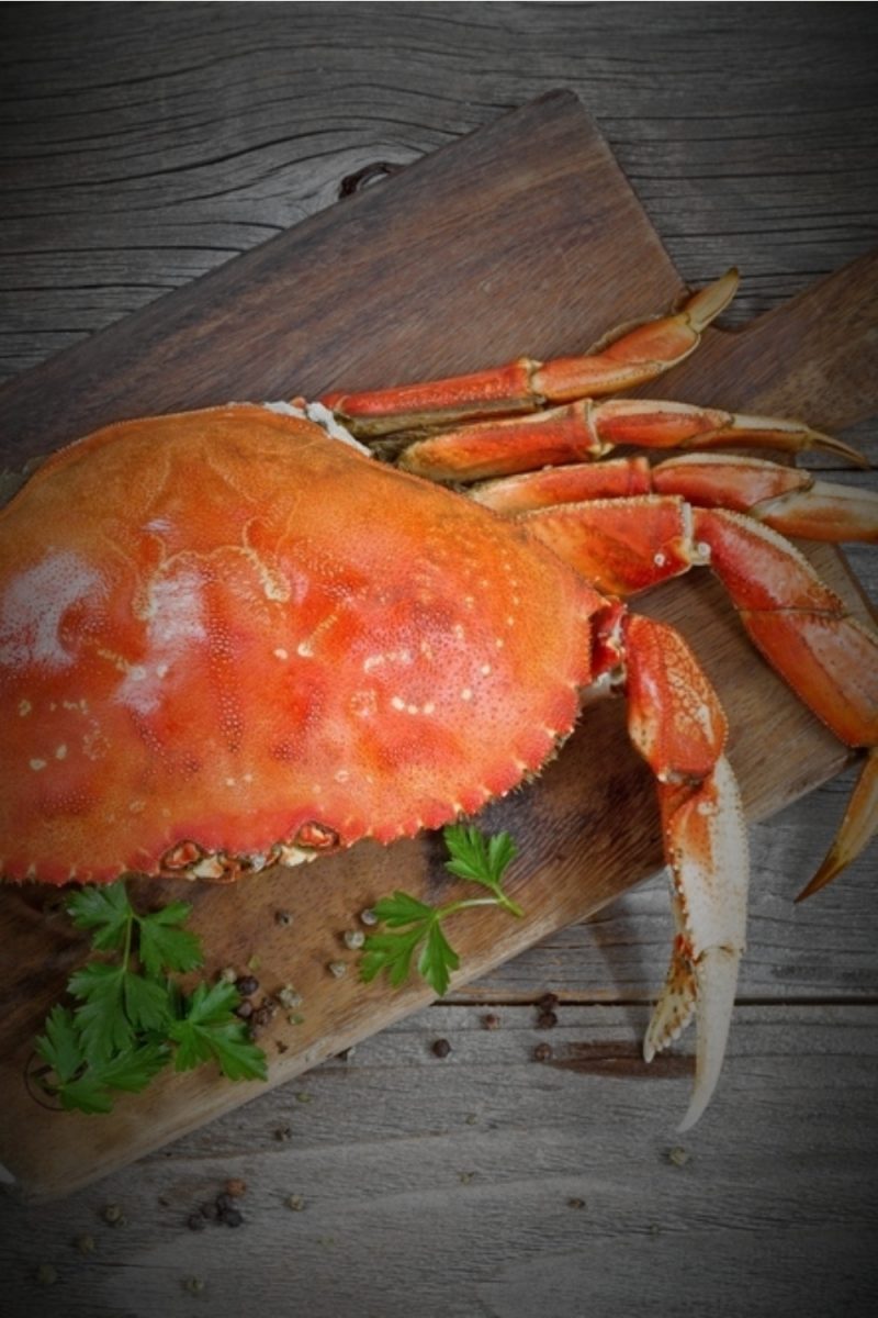 9 Main Differences Between Snow Crab And Dungeness Crab