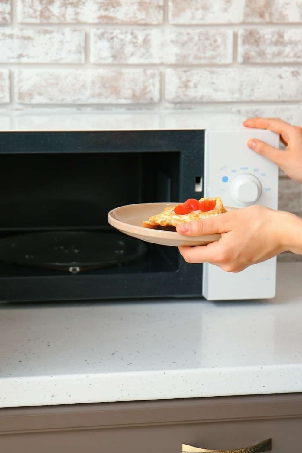woman putting in dish in Microwave