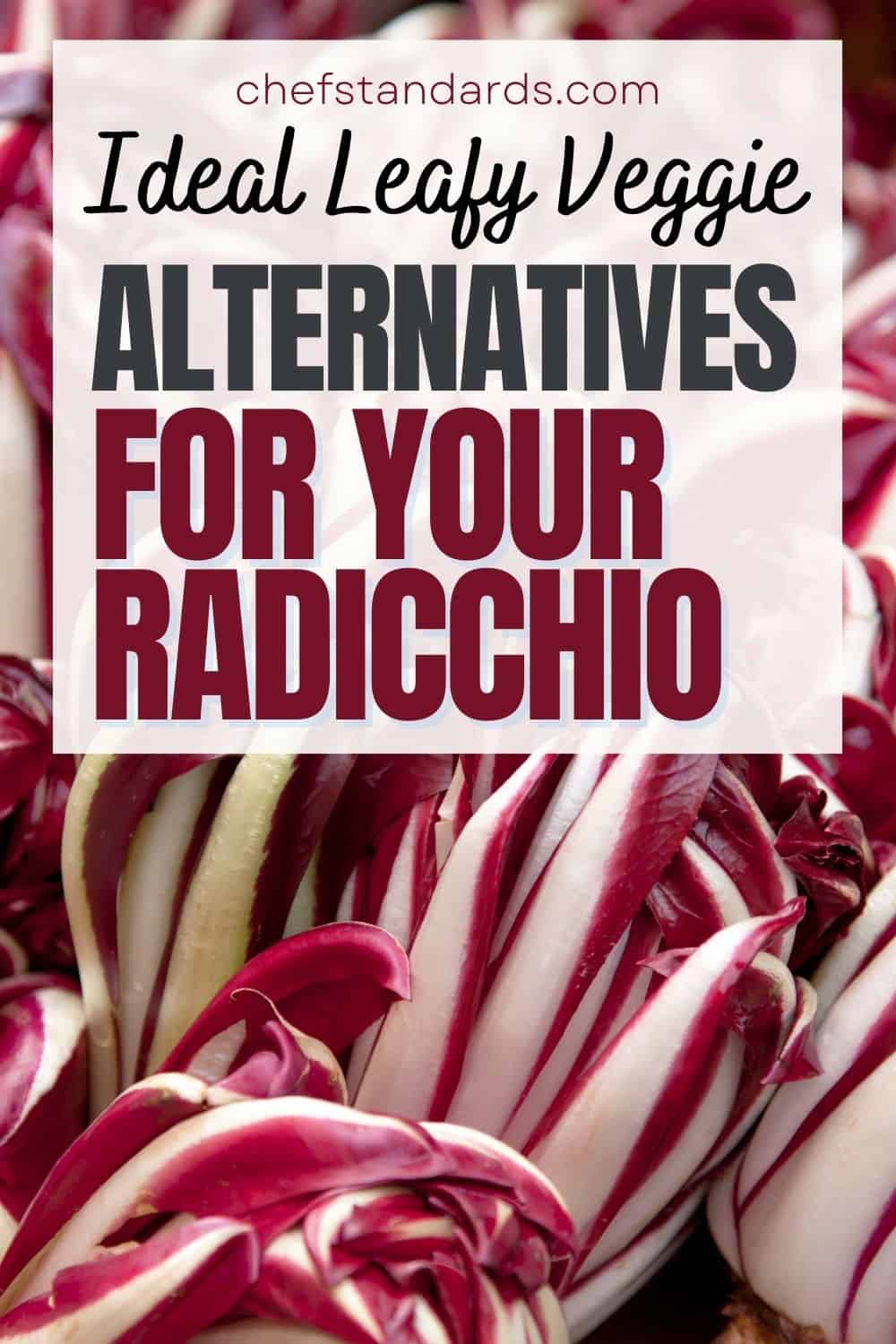15 Radicchio Substitutes Both Nutritious And Flavorful 