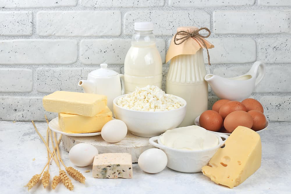 assortment of fresh dairy products