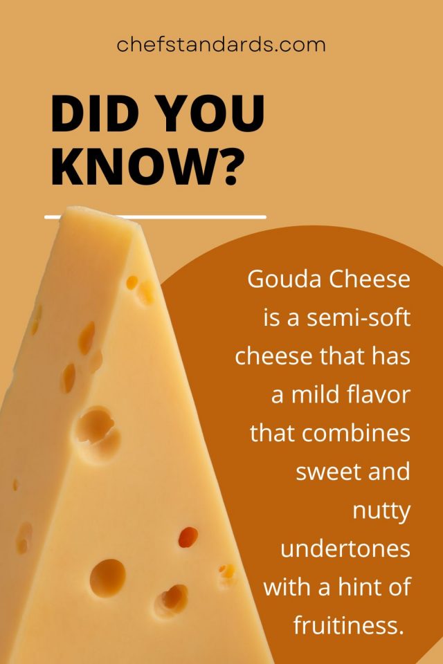 12 Ideal Havarti Cheese Substitutes That Melt In Your Mouth