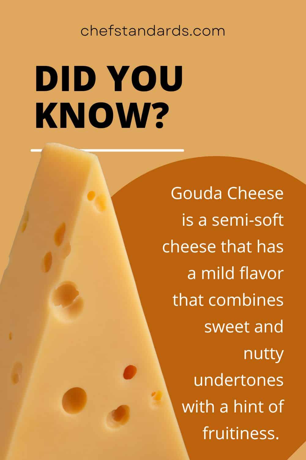 Infografía sobre el queso Gouda