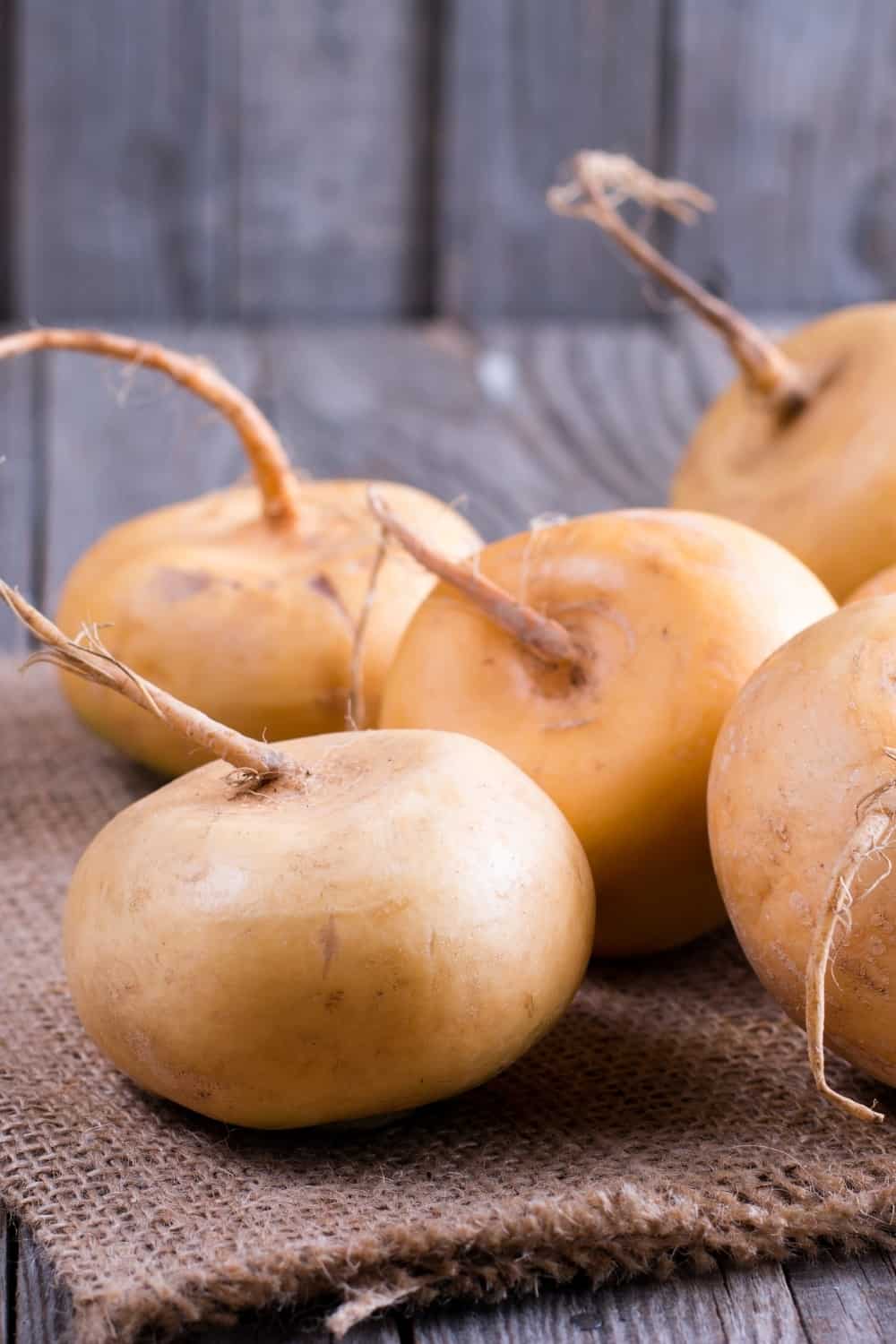 Yellow turnip on a wooden table