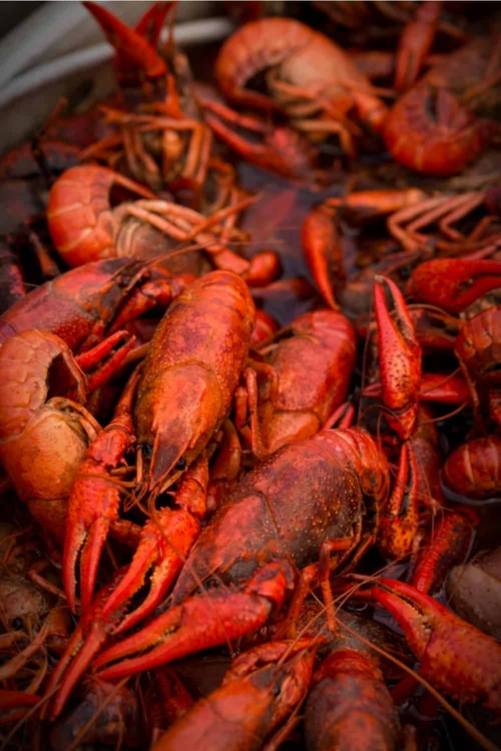 boiled crawfish in a pot