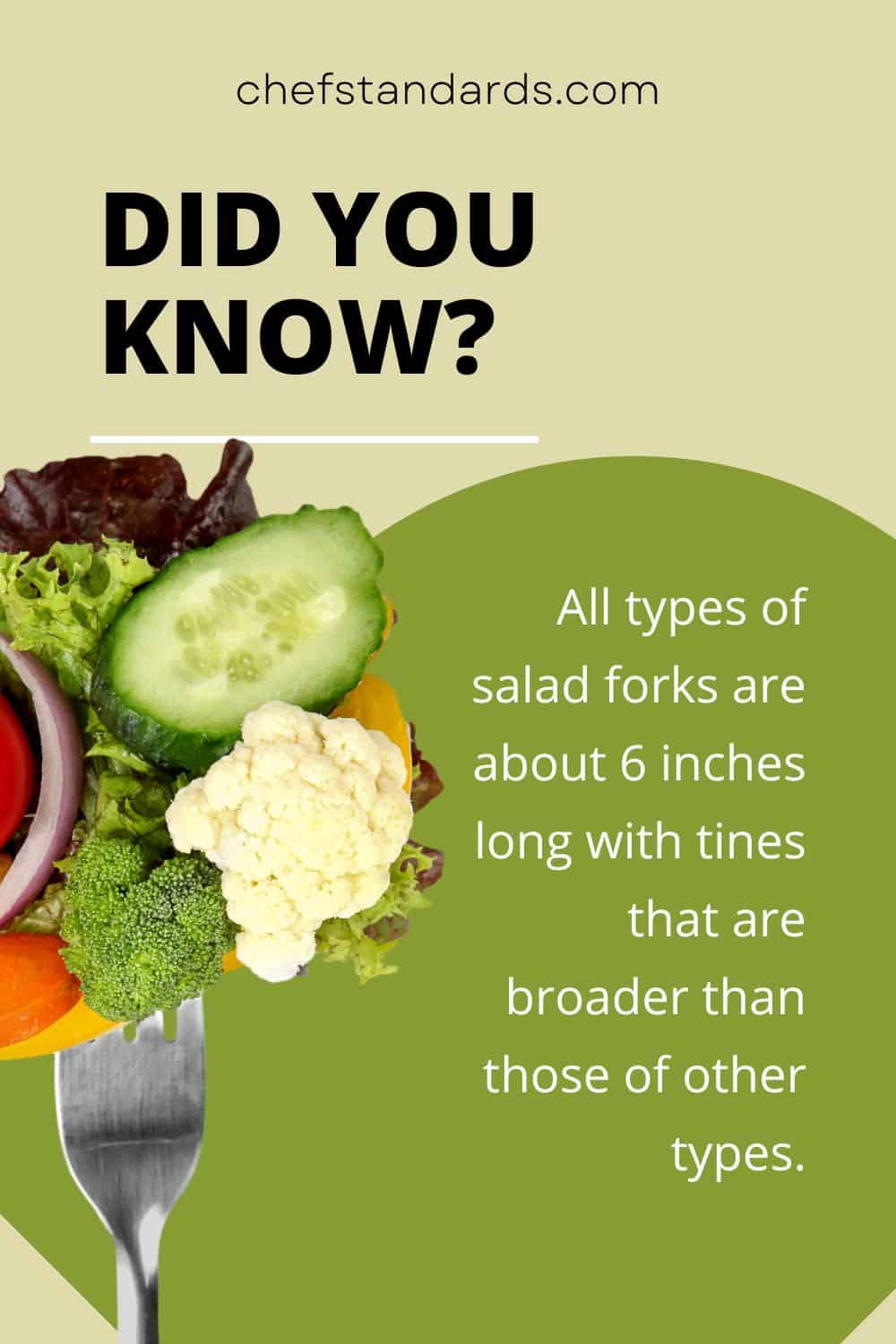 Tenedor de ensalada vs Tenedor de cena: 6 diferencias clave entre los tenedores