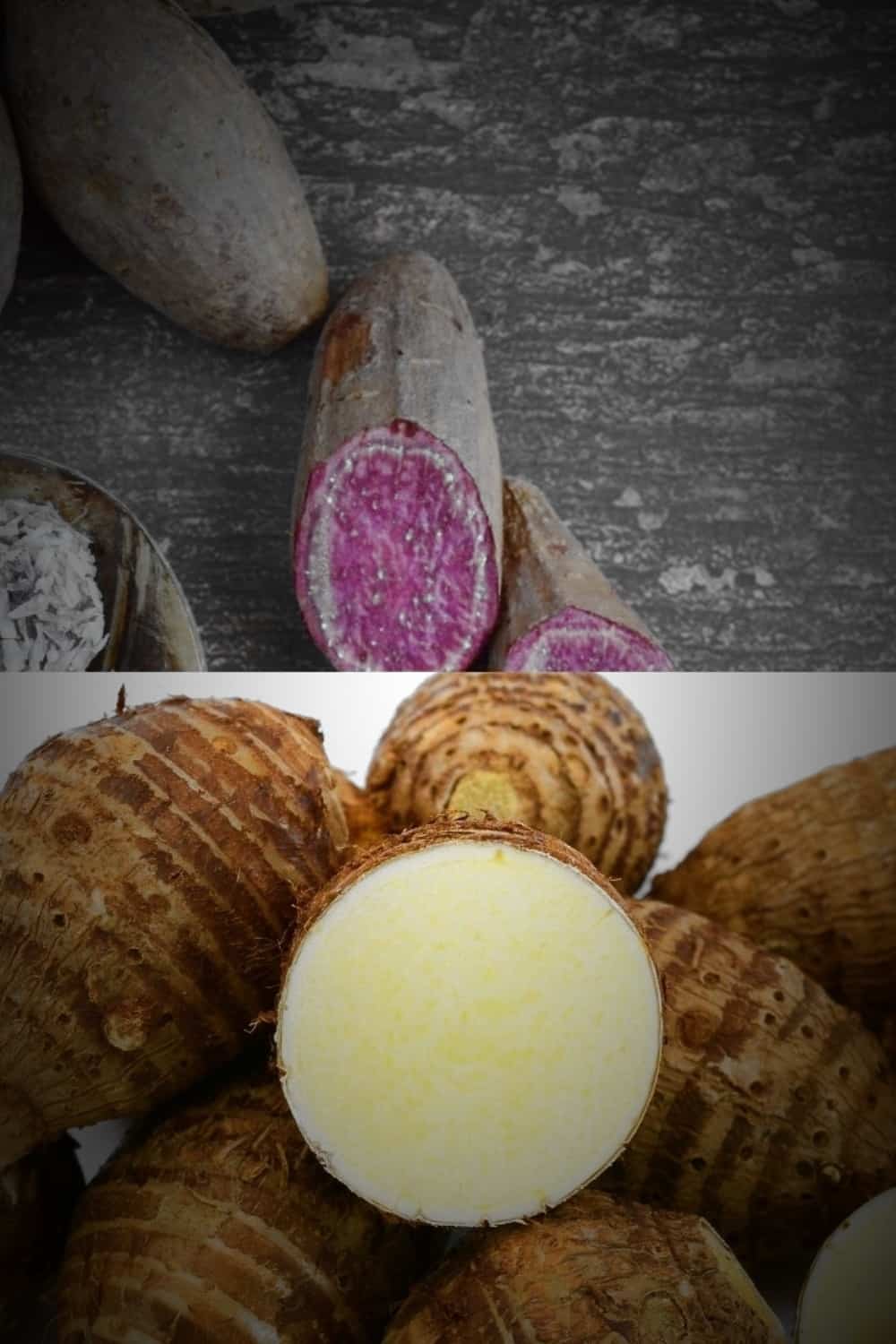 a diferença entre ube e taro