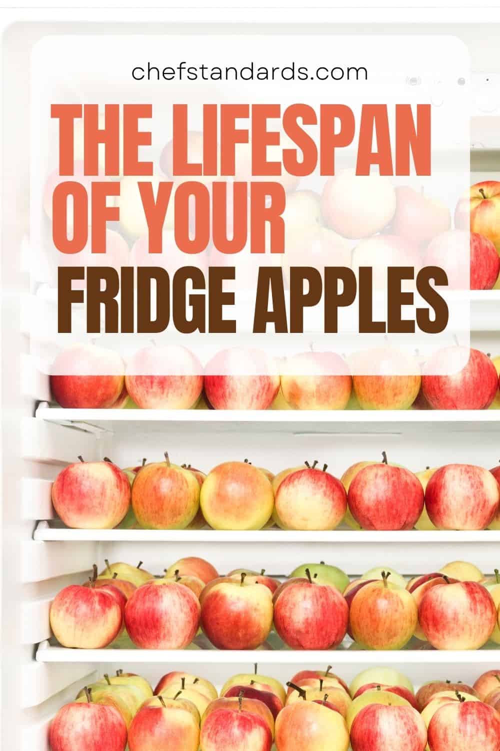 How Long Do Apples Last In The Fridge (Storage Tips)
