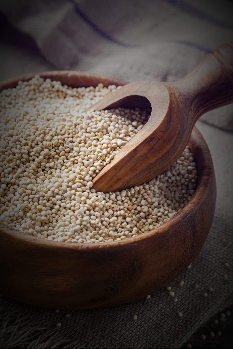 11 Orzo Substitutes Explore And Find Your Perfect Match