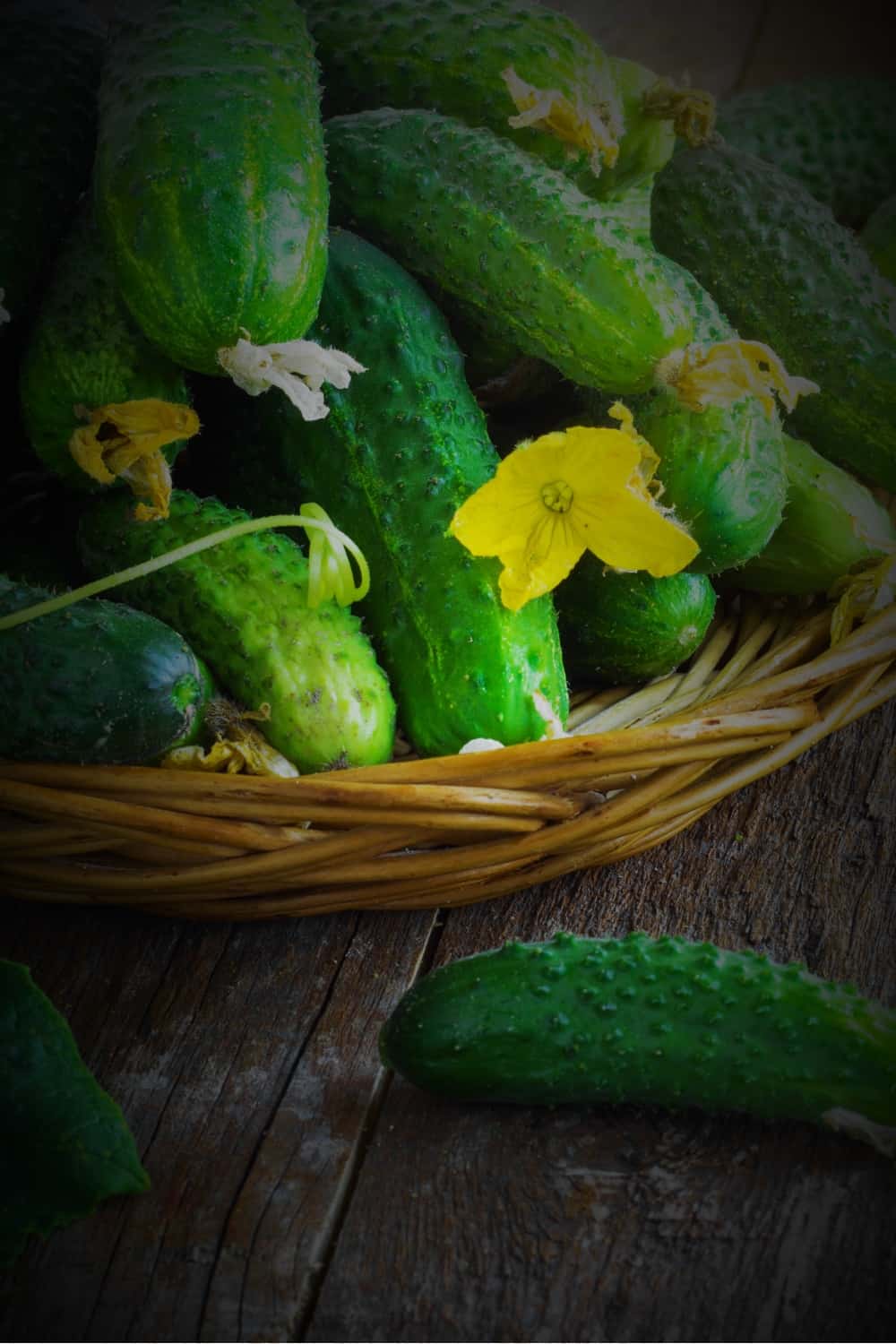 fresh cucumbers in a basket