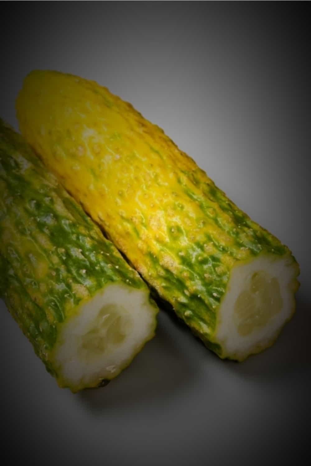 yellowed cucumber