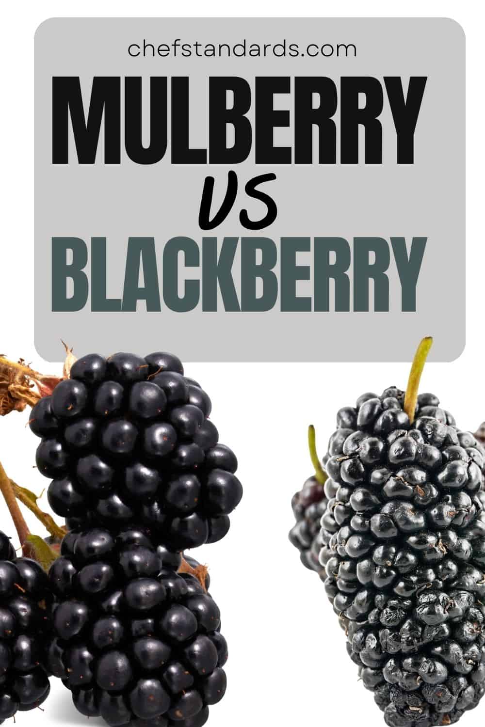 7 Key Differences Between Mulberries And Blackberries
