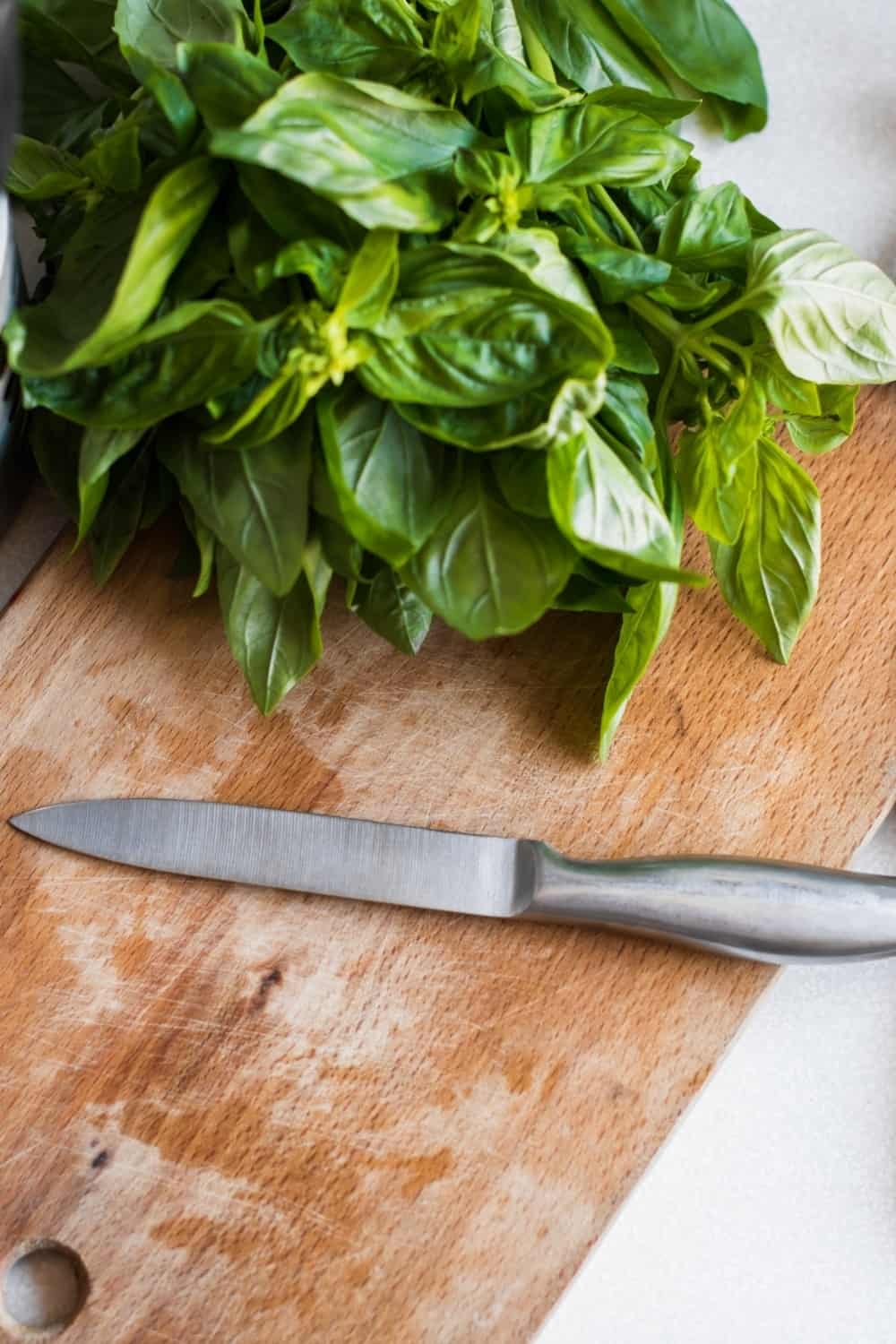 A bunch of basil on the board on the kitchen table, home cooking utensils for cooking