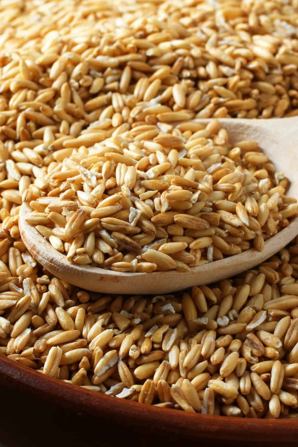 Barley on the table
