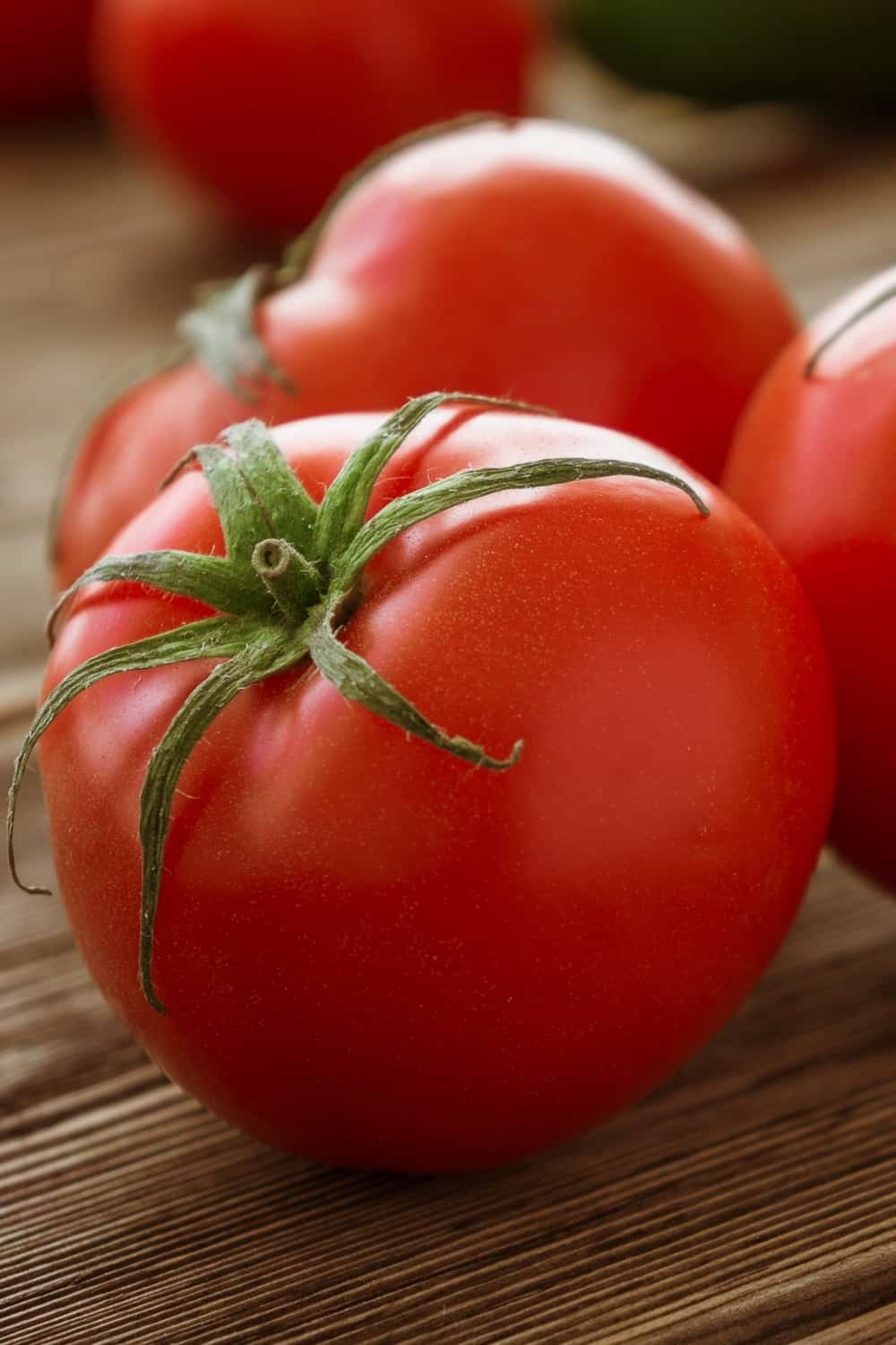 Tomates fraîches