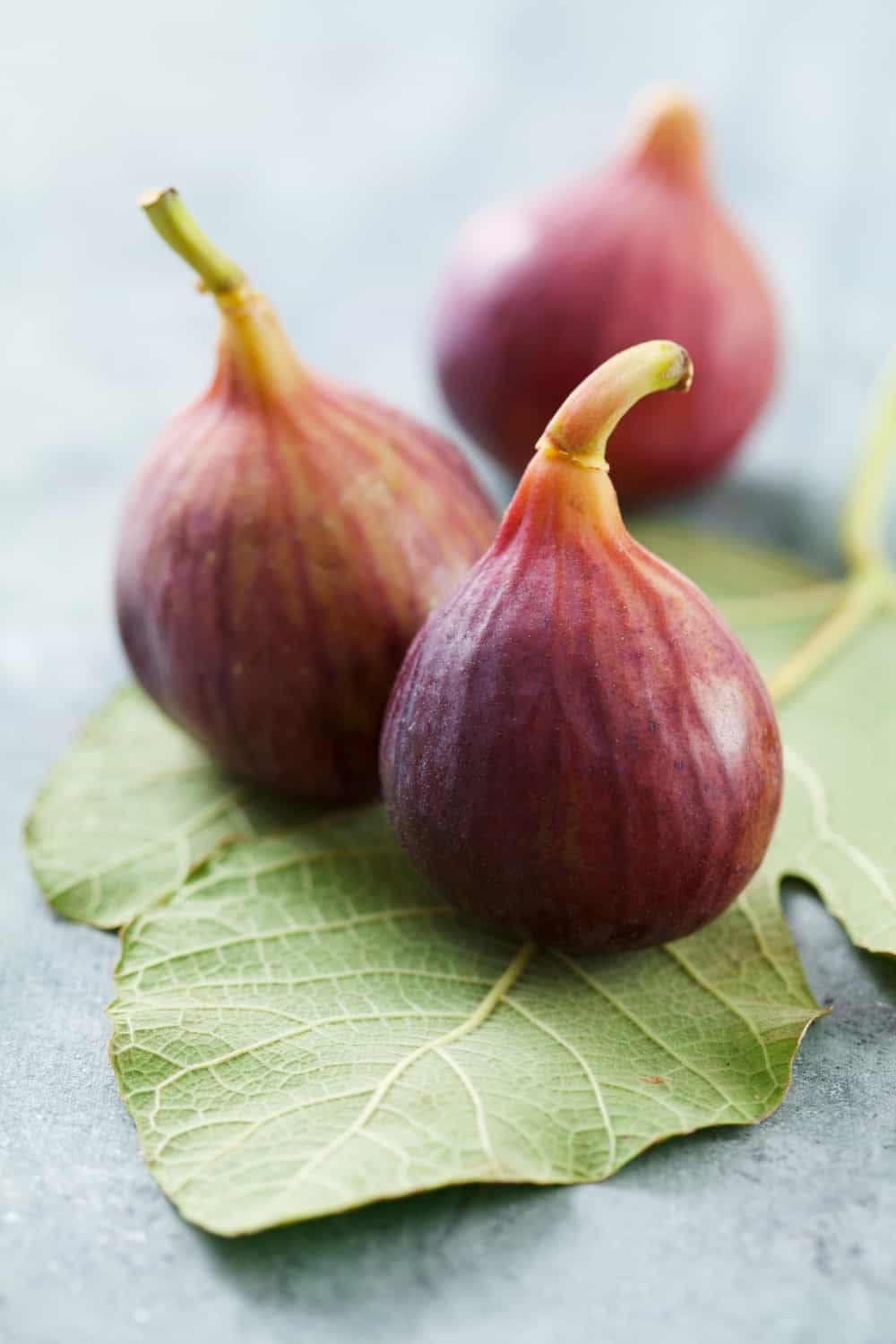 Figues fraîches sur feuilles de figuier