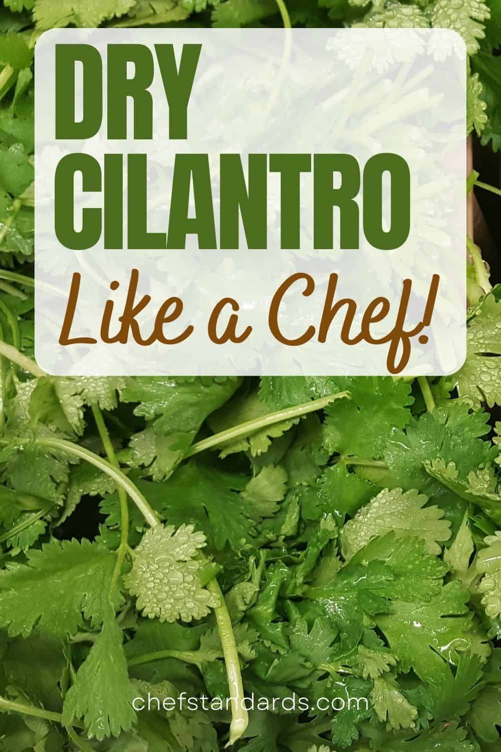 How To Dry Cilantro And Enjoy It All Year Long (4 Methods)
