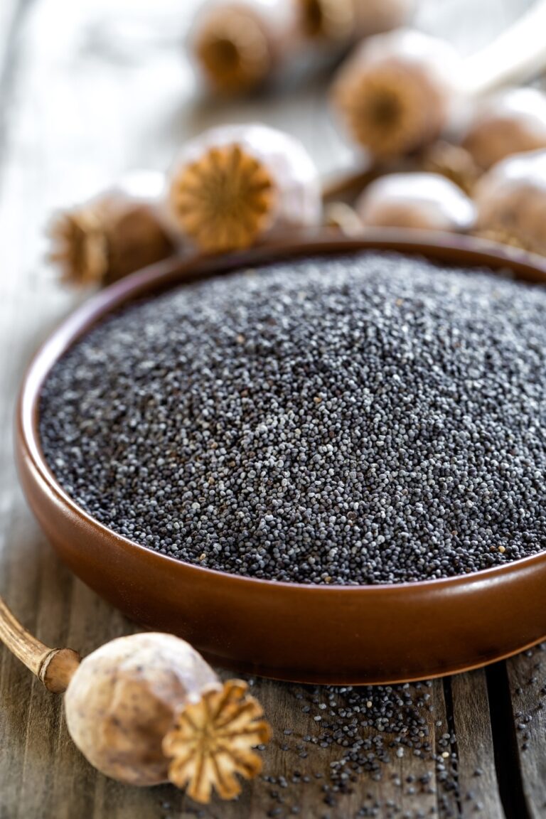 10 Substitutes For Sesame Seeds For Every Opportunity