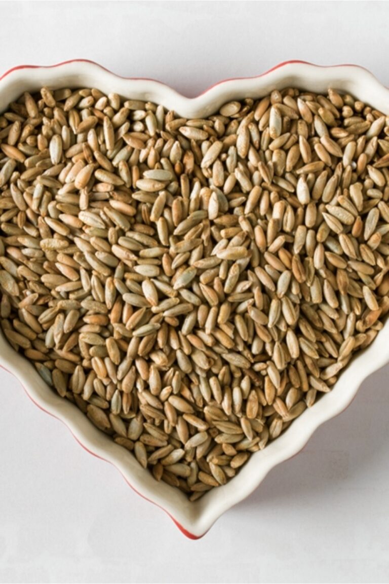 10 Fantastic Farro Substitutes To Win The Grain Game
