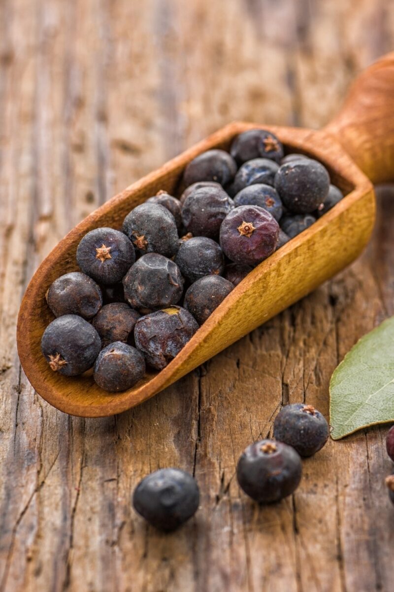 10 Bay Leaf Substitutes To Spice Up Your Cooking Game