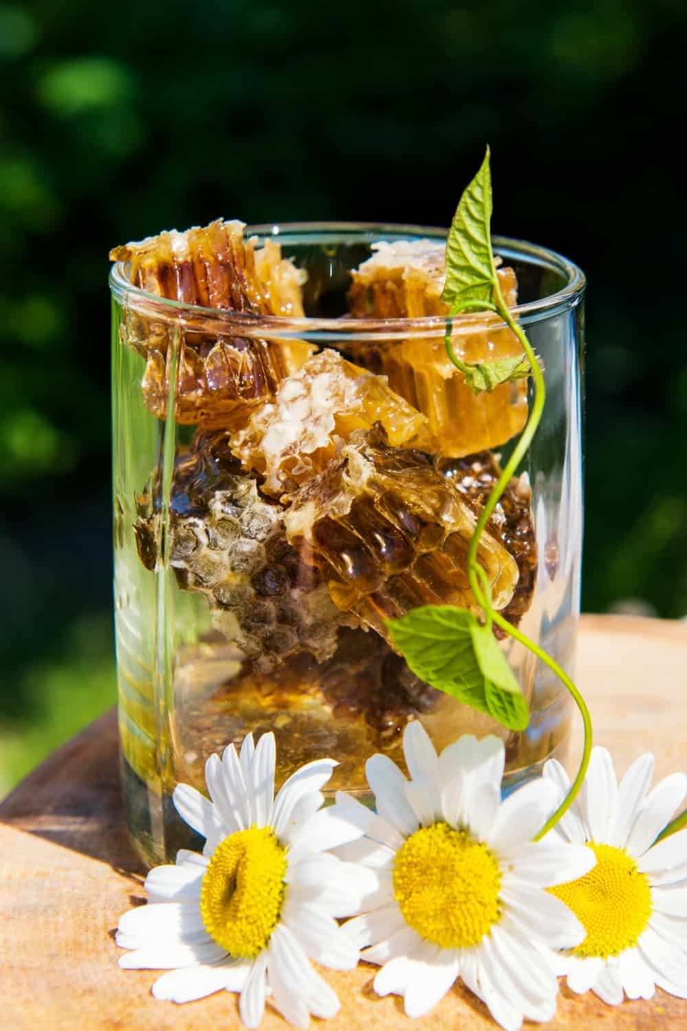 honeycomb in a glass with daisy flowers