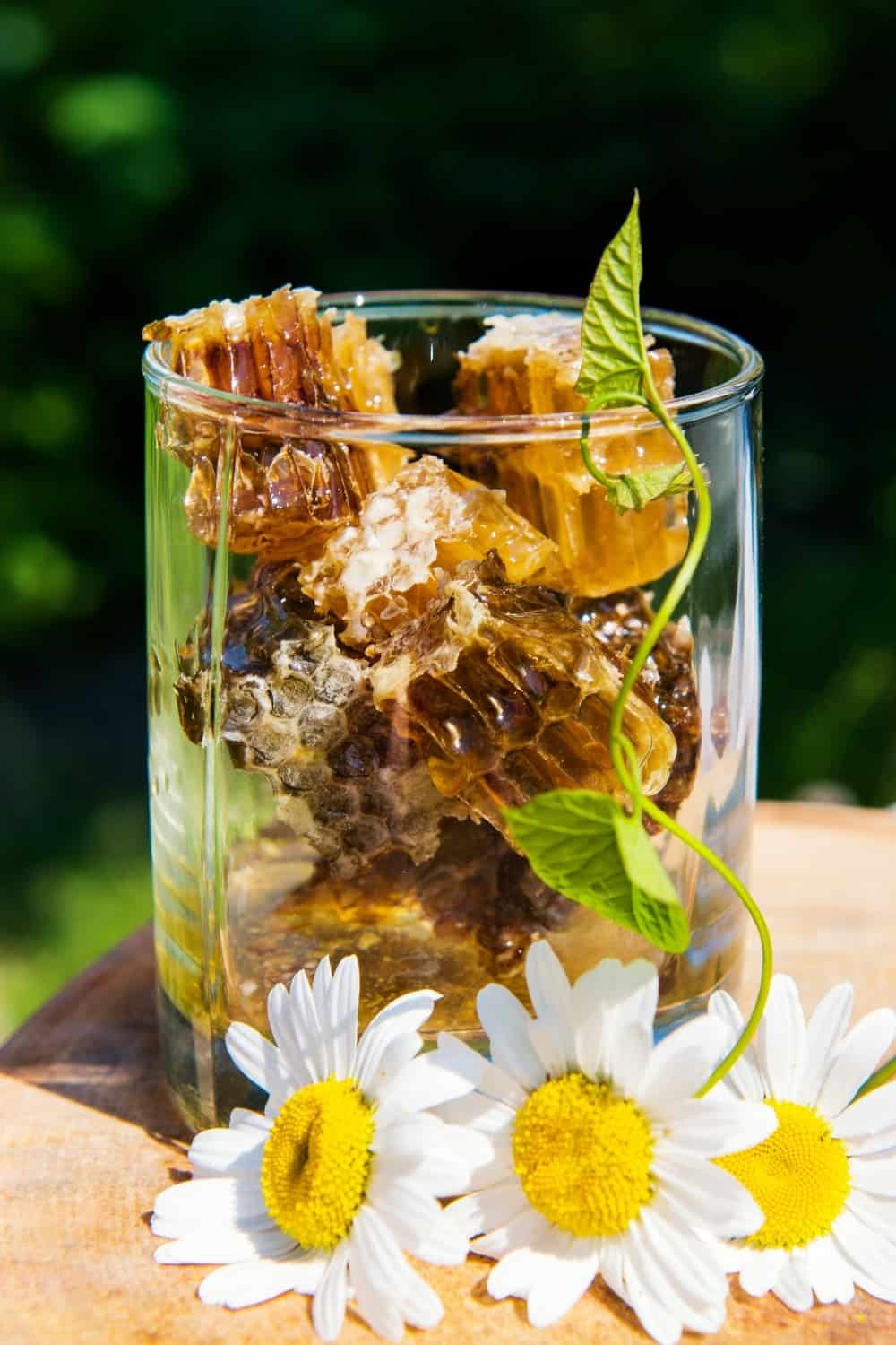 panal de miel en un vaso con flores de margarita