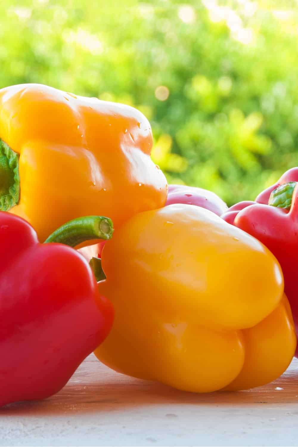 red and yellow peppers