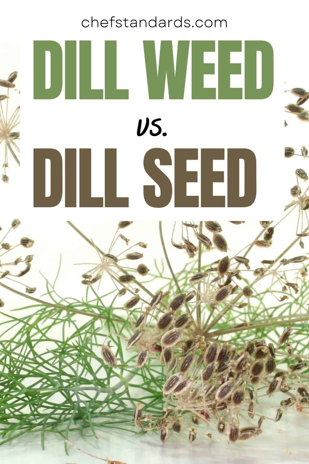9 Key Ways To Differentiate Dill Weed From Dill Seed Pinterest