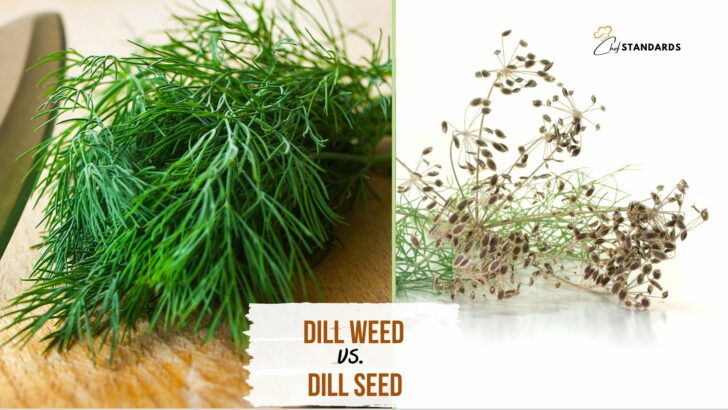 9 Key Ways To Differentiate Dill Weed From Dill Seed