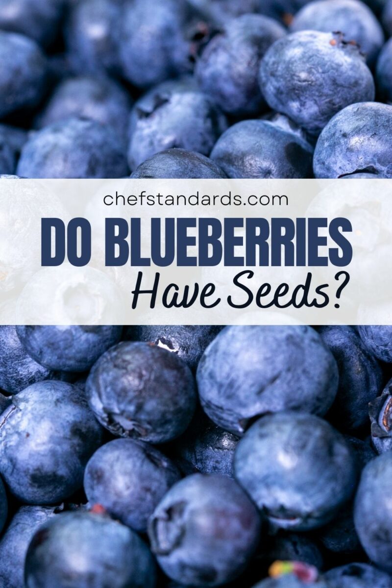 Do Blueberries Have Seeds? (Everything You Need To Know)