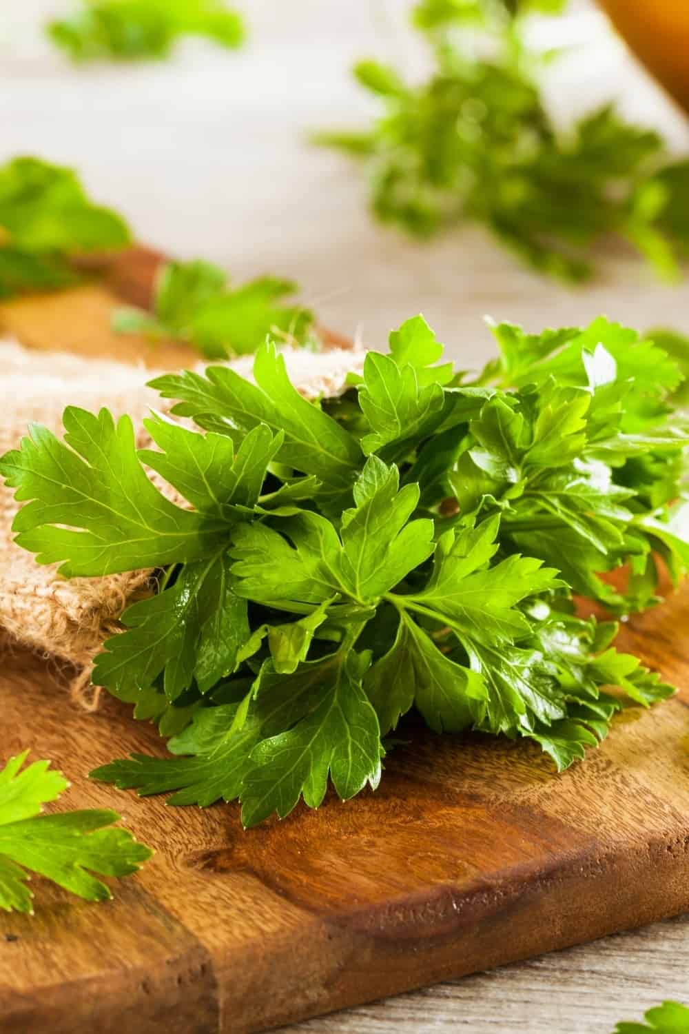 Parsley on a wooden board