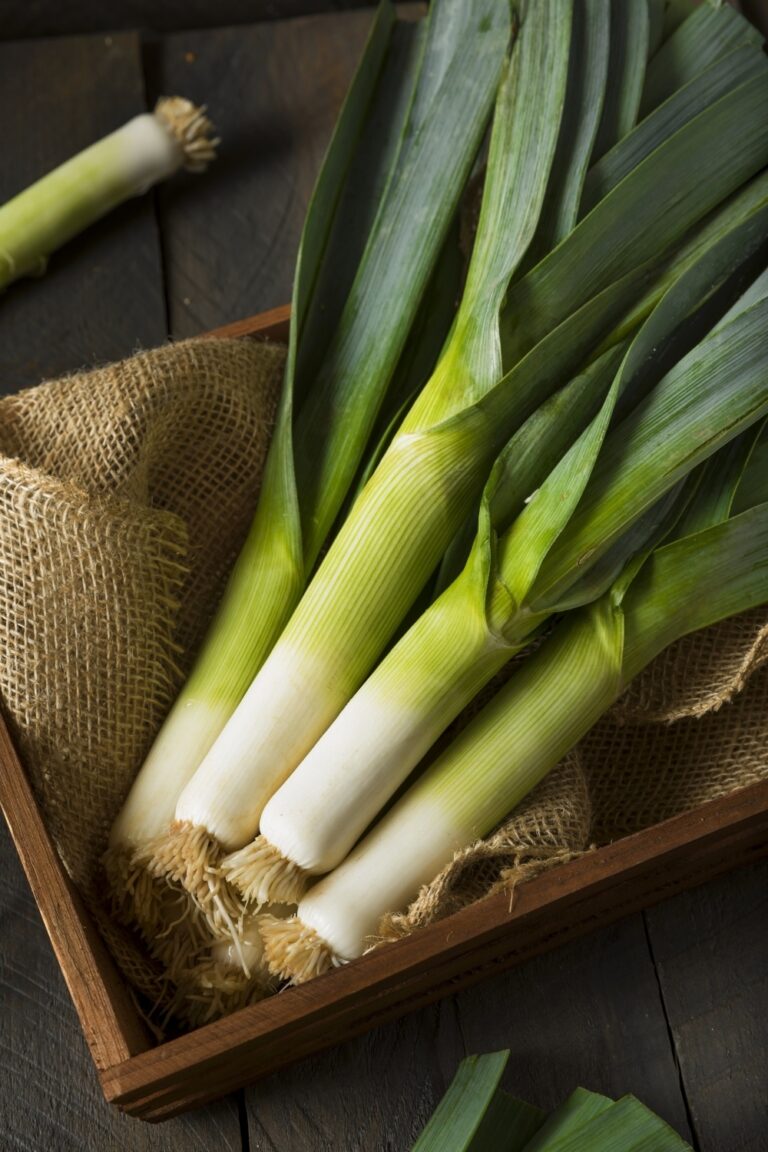 8 Great Foods To Substitute Bok Choy And Upgrade Your Dish