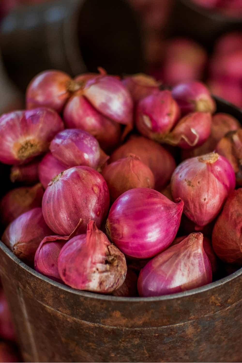 Shallots in a brown bowl
