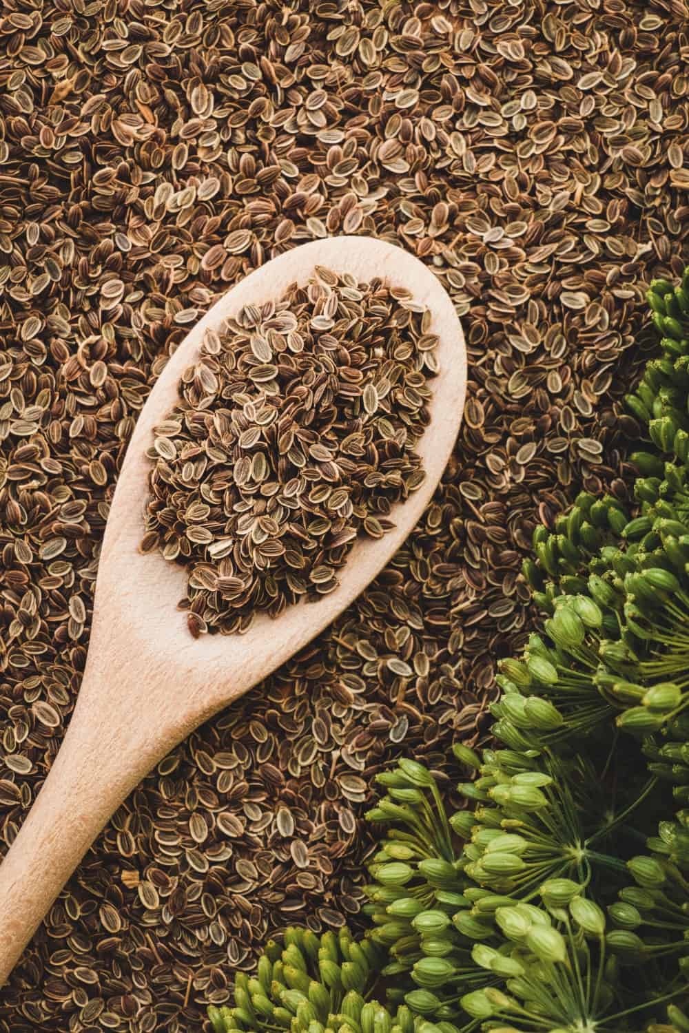 semillas de eneldo y cuchara de madera