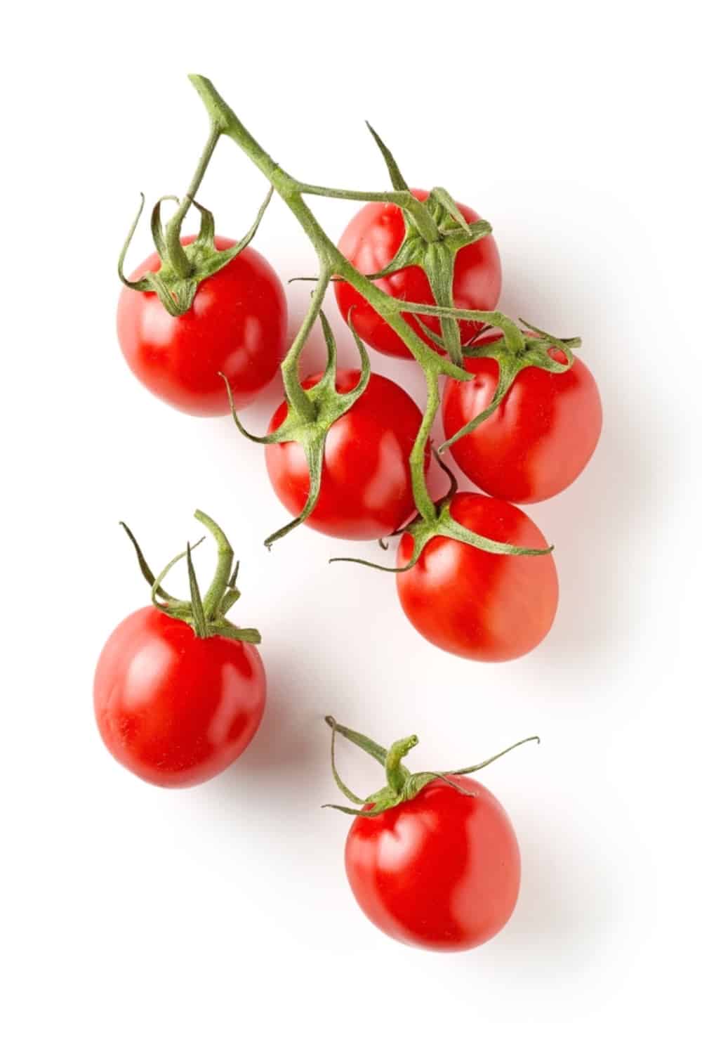 How Long Do Cherry Tomatoes Produce Fruit