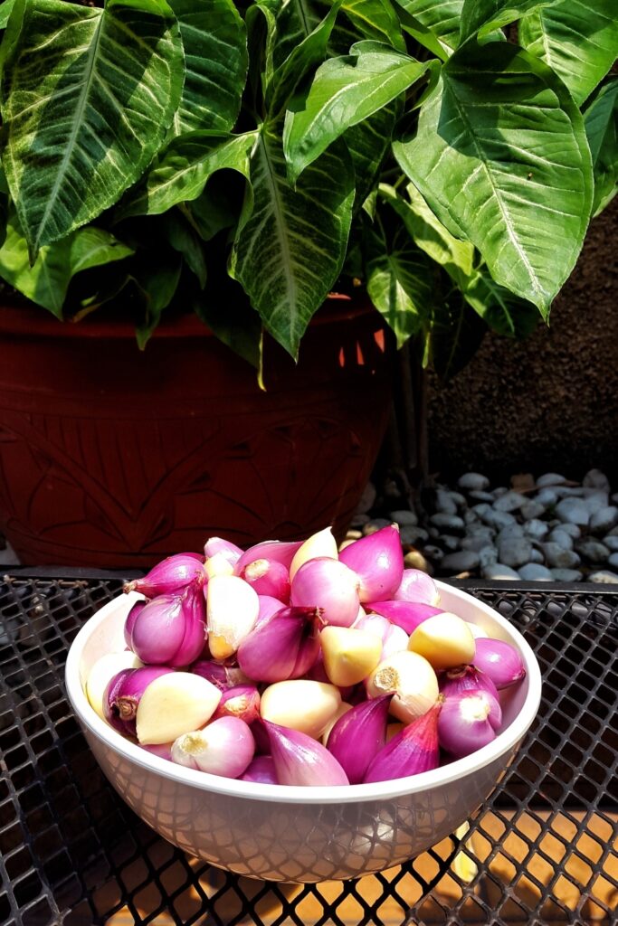 10 Best Garlic Powder Substitutes You Need To Try Today