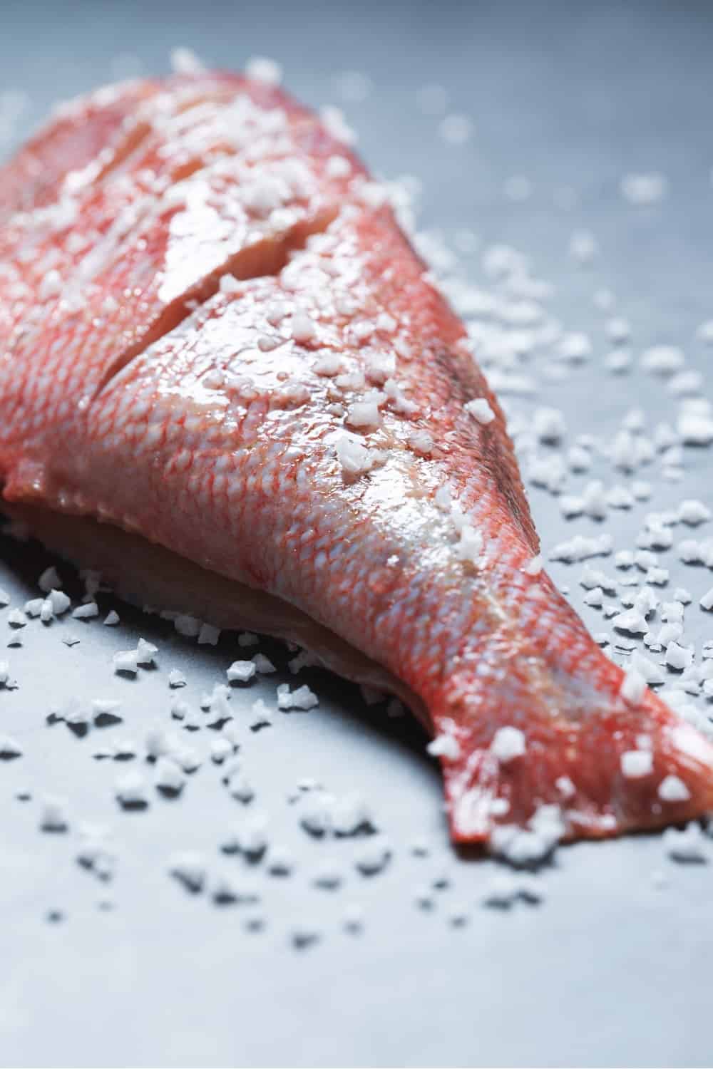 Trimmed red rockfish with salt