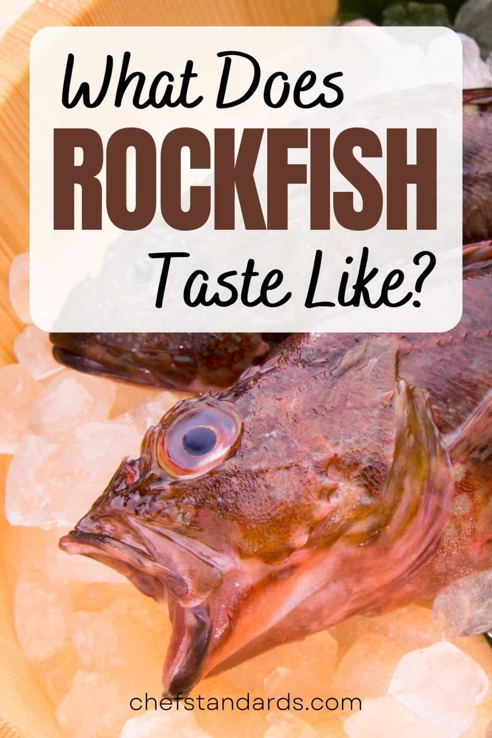 ¿A qué sabe el pescado de roca? Deliciosos secretos de sabor